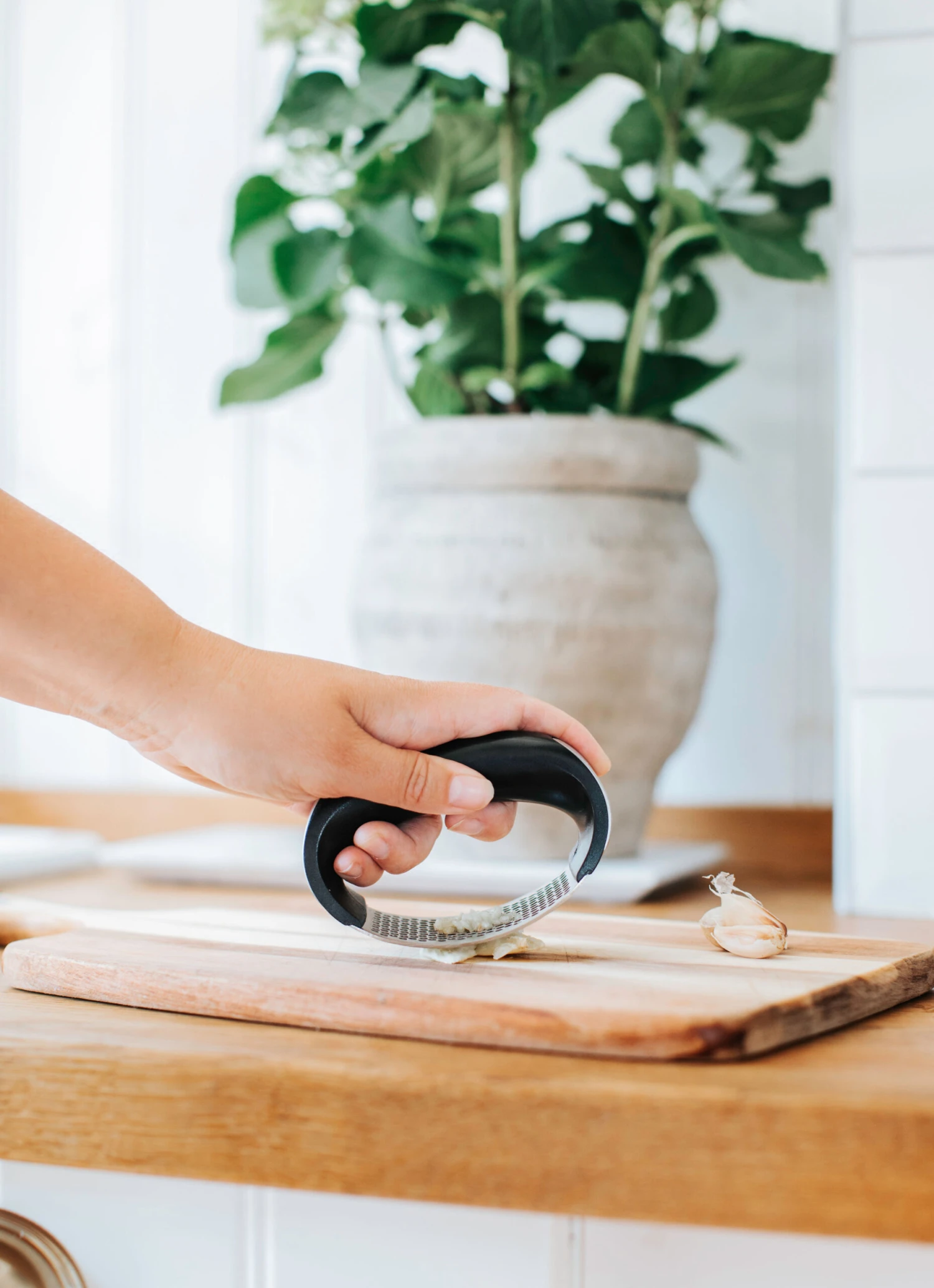 Dorre Garli Knofloofpers 4 Dorre Garli Knofloofpers - Afbeelding 2