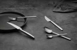 Gense Norm Dinervork -Huis Keuken 568747 01 11 EnvironmentImage 5d985039d3